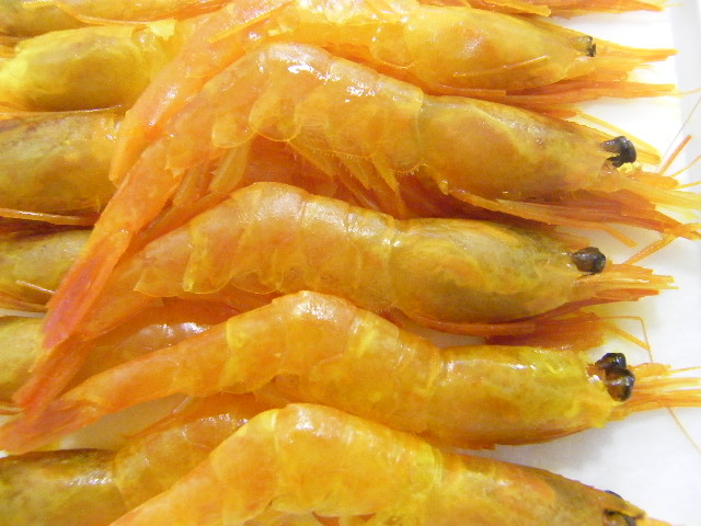 粋餌屋 入荷情報