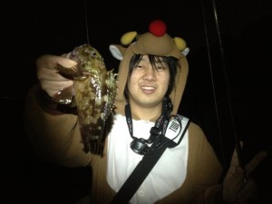 トナカイアップ