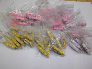 IMGP1132