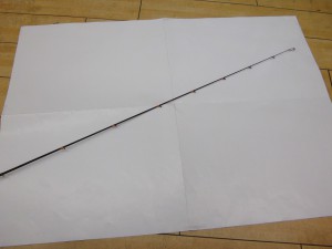IMGP1220