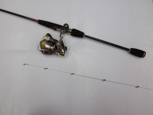 IMGP1227