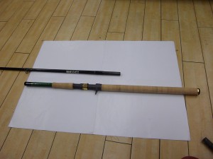 IMGP1262