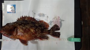 船2位①