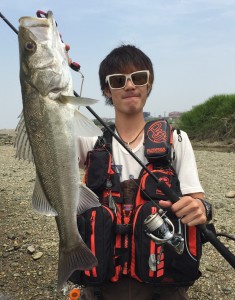 201506133