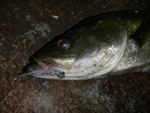 20151227f