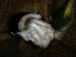 20151227g