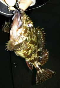 20160327h
