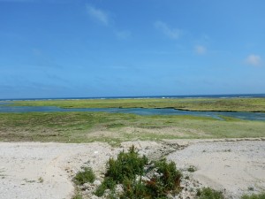 DSCN0495