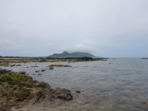 DSCN0568
