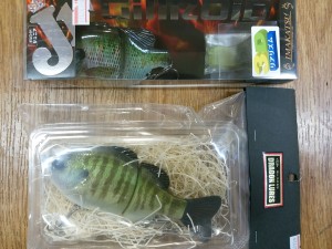 IMG_20160413_093715