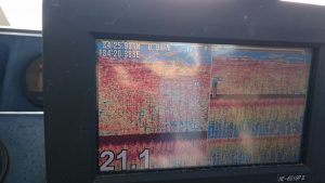 1483498853808